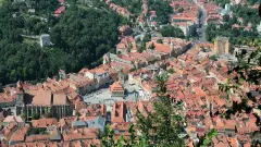 Romanya’dan Tarihi Çağrı: 100 Bin İşçi Alımı ve 7.500 Euro’ya Varan Maaş Fırsatı!